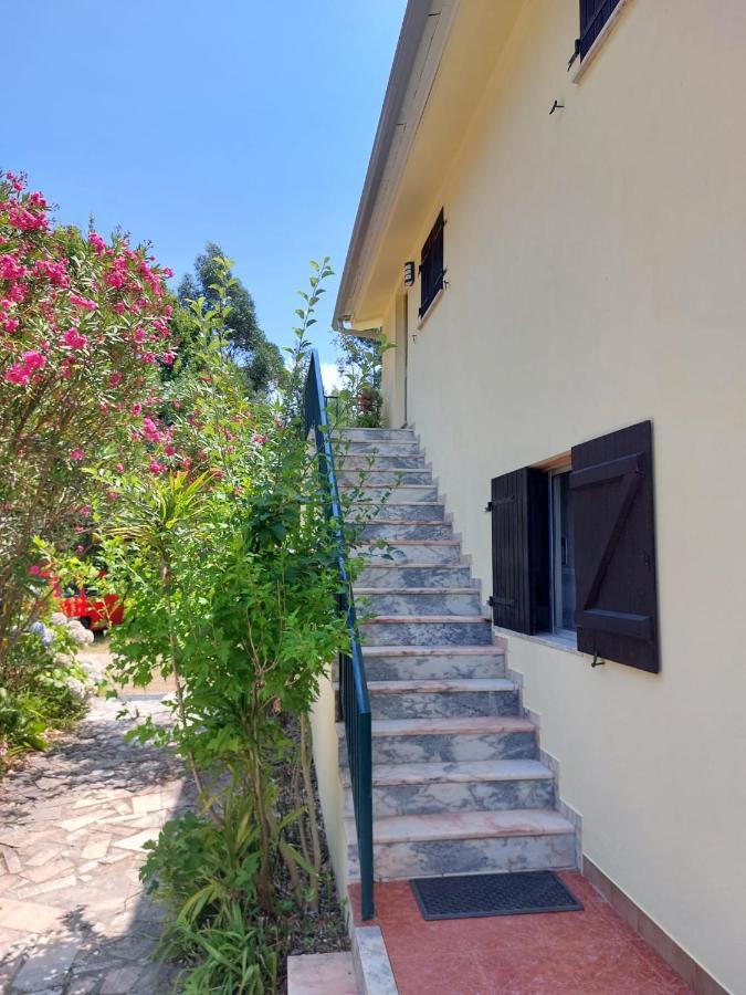 Melita Guesthouse Braga Buitenkant foto